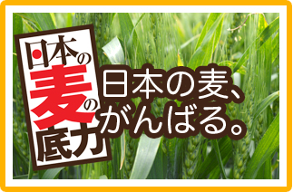 日本麦の底力｜国内産麦の需要の拡大を応援する情報提供サイト