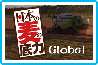 日本の麦の底力 日本の麦、がんばる。グローバルサイト